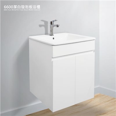 6600潔白衛浴櫃